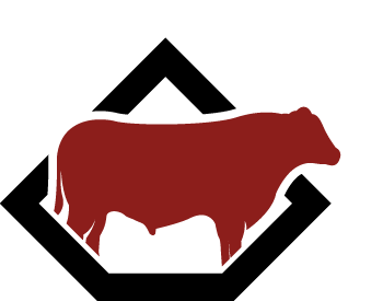 vector of bull